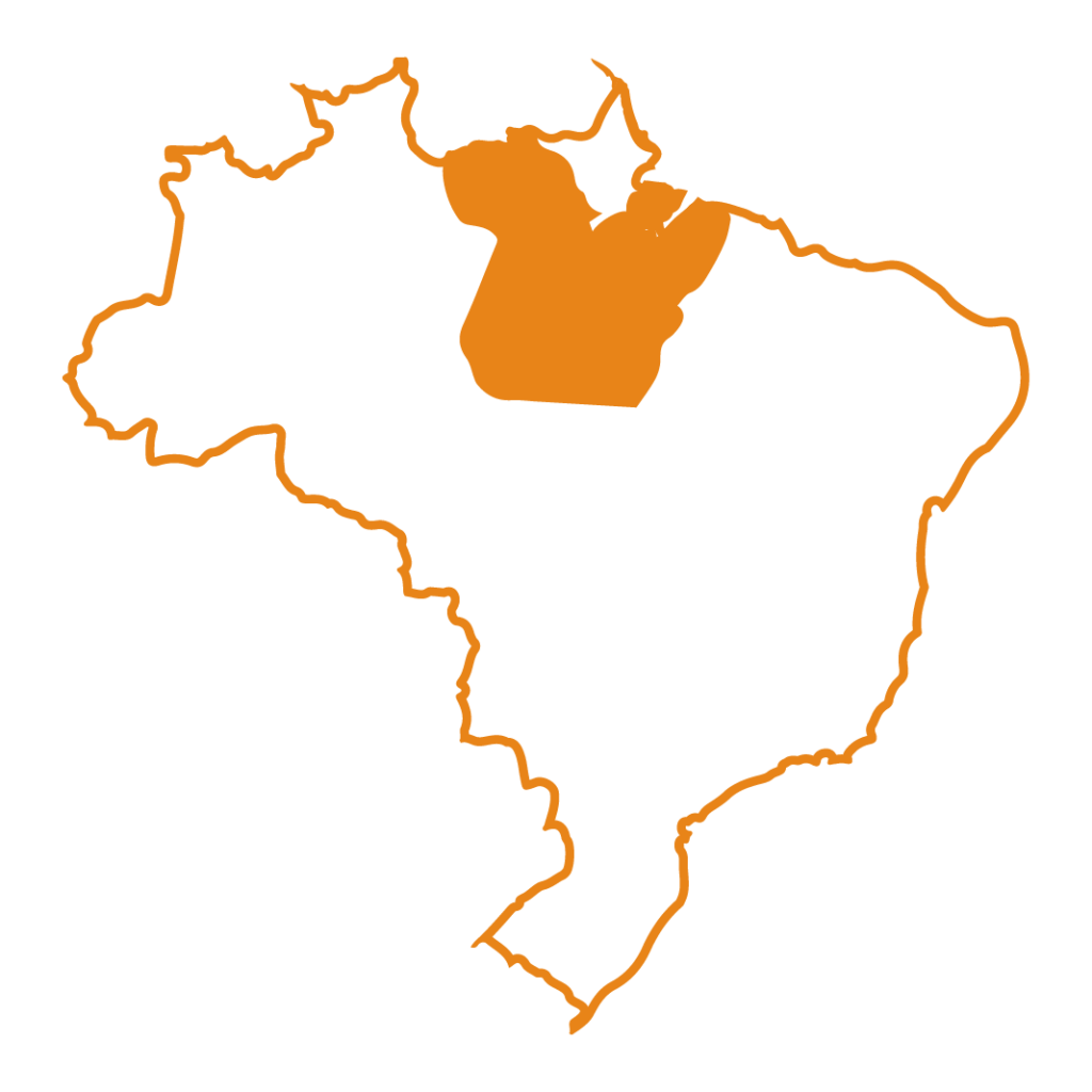 imagem do mapa do brasil, com destaque no estado do Pará