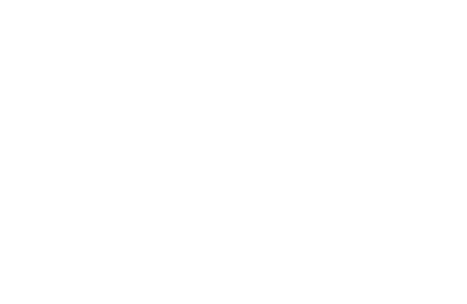 é caboclo, é açaí, é paraense
